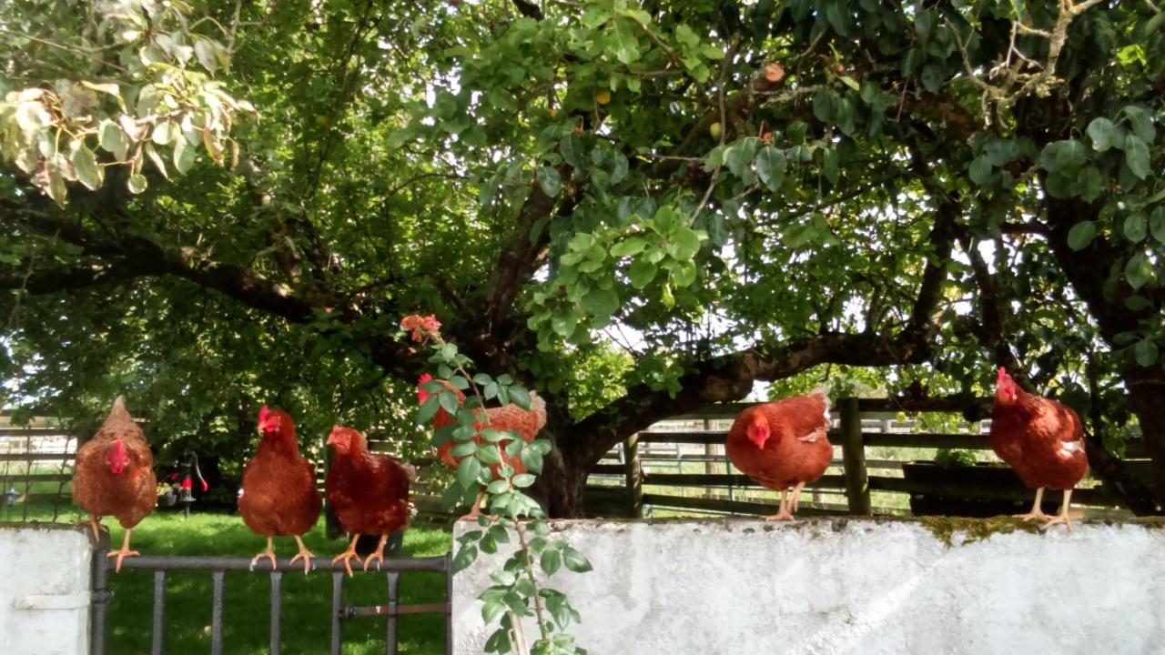 Cummins Cottages Ballycrossaun Экстерьер фото