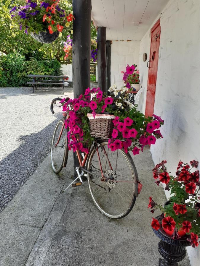 Cummins Cottages Ballycrossaun Экстерьер фото