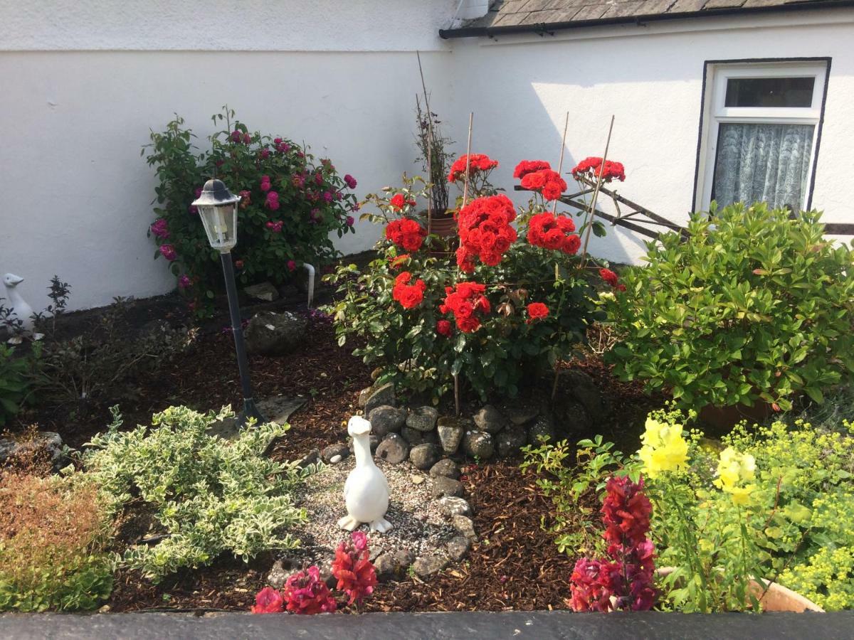 Cummins Cottages Ballycrossaun Экстерьер фото
